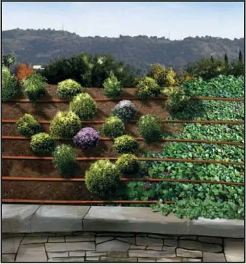 Rainbird - Goutte à goutte pour installation en surface XFCV